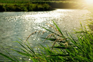 Capernwaray Inland Sea