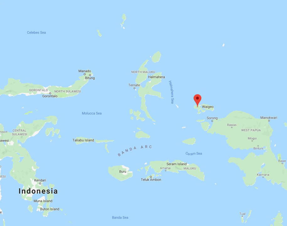 Scuba Diving Trip to Amazing Raja Ampat/Jakarta Indonesia