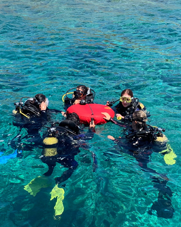 PADI Courses