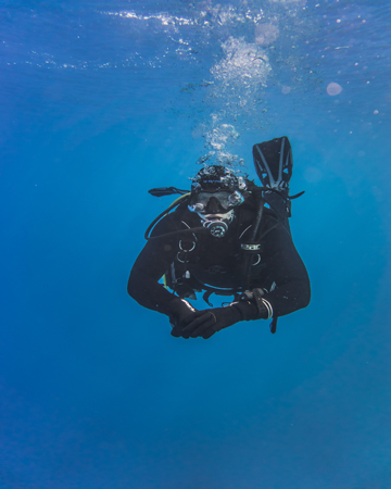 UK diving